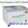 Tủ đông Kangaroo 248 Lít Kg308c1 Thanh Lý