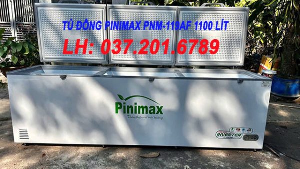 Tủ đông Pinimax Pnm 119af 1100 Lít