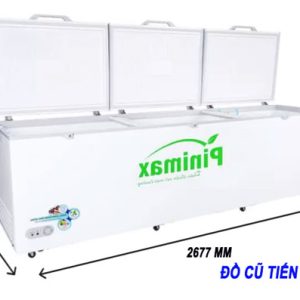 Tủ đông Pinimax Pnm 119af3 1100 Lít Inverter