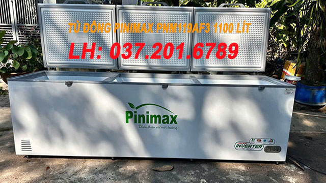 Tủ đông Pinimax Pnm 119af3 1100 Lít