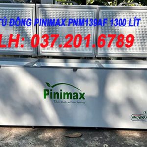 Tủ đông Pinimax Pnm 139af 1300 Lít