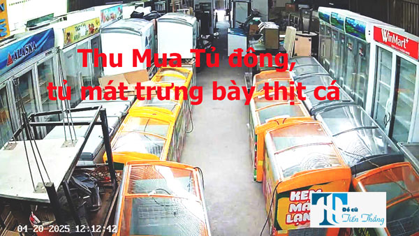Thu Mua Tủ đông Tủ Mát Trưng Bày Thịt Cá