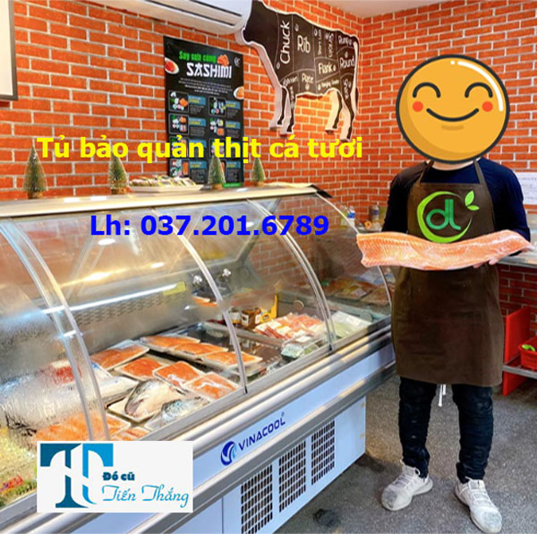 Tủ Mát Bảo Quản Thịt Cá Vinacool 1m9 Thanh Lý