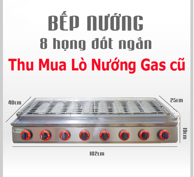 Thu Mua Lò Nướng Gas Cũ