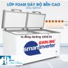 Thanh Lý Tủ đông Darling Inverter 1050 Lít