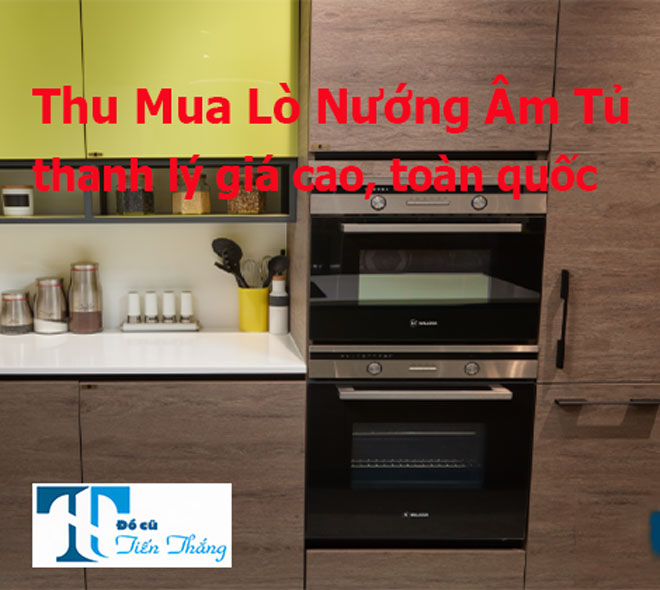 Thu Mua Lò Nướng âm Tủ Cũ Thanh Lý