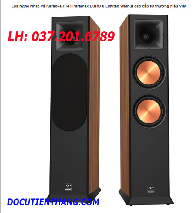 Loa Nghe Nhạc Và Karaoke Hi Fi Paramax Thanh Ly