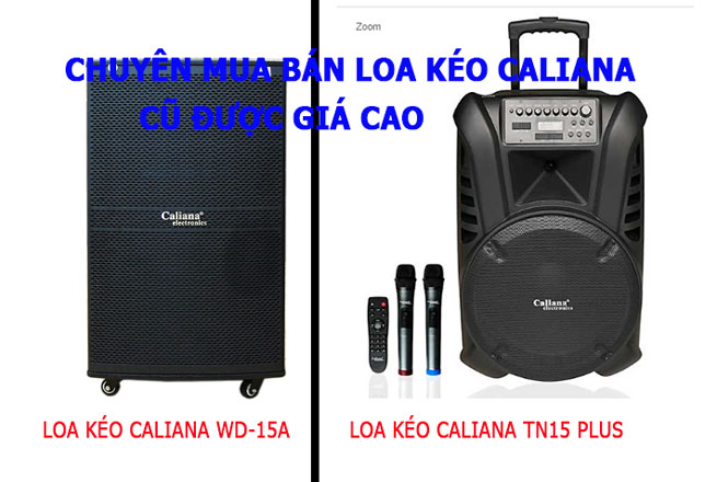 Thu Mua Loa Kéo Caliana Cũ Thanh Ly