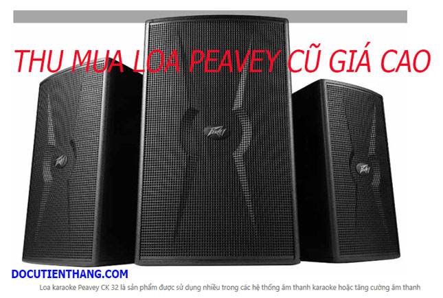 Thu Mua Loa Peavey Cũ Giá Cao