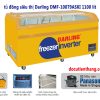 Tủ đông Siêu Thị Darling Dmf 10079aski 1100 Lít