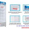 Tủ Mát Darling 360 Lít 1 Cánh Cũ Chính Hãng