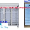 Thanh Lý Tủ Mát Trưng Bày Kangaroo Cũ Giá Rẻ