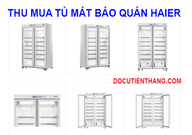 Thu Mua Tủ Mát Bảo Quản Haier