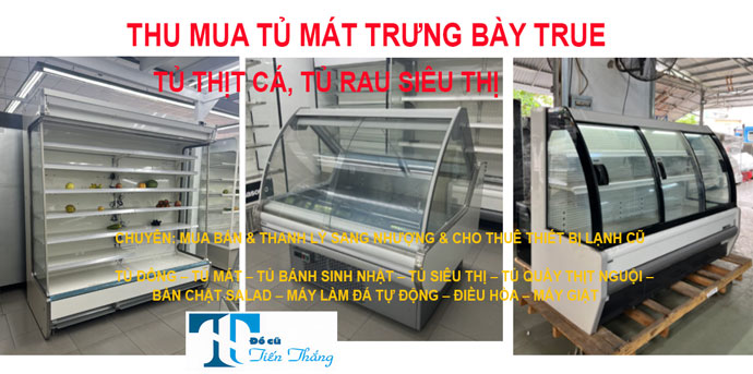 Thu Mua Tủ Mát Trưng Bày True Tủ Lạnh Thương Mại