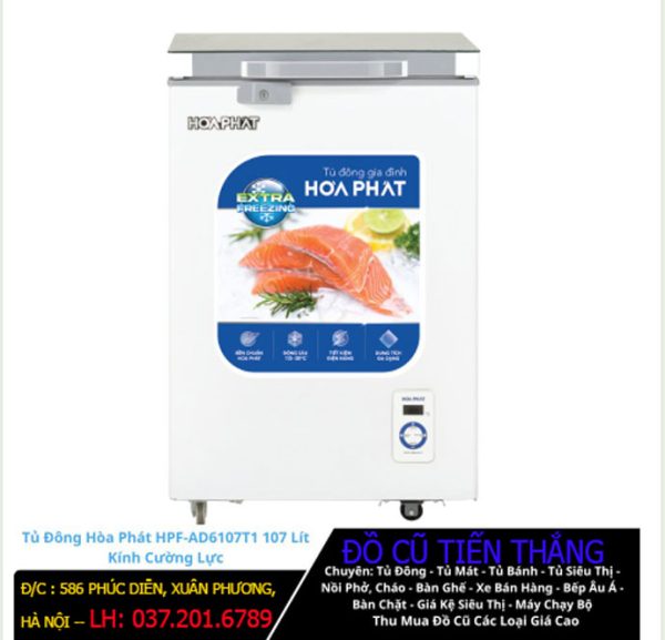 Tủ đông Hòa Phát 107 Lít Hpf Ad6107 Giá Rẻ