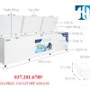 Tủ đông Hòa Phát 1190 Lít Hpf Ad61190