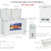 Tủ đông Hòa Phát 245 Lít Hpf Bd6245