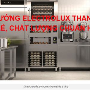 Mua Ban LÒ NƯỚng Electrolux Thanh LÝ