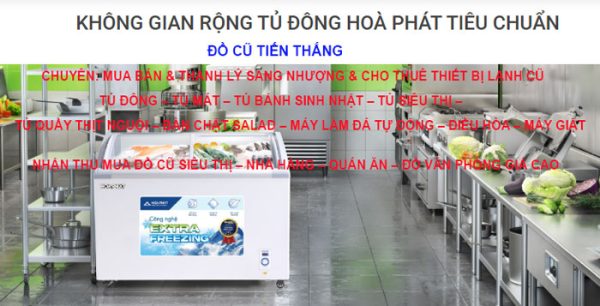 Thanh Ly Tủ Kem Hòa Phát 357 Lít Kính Cong