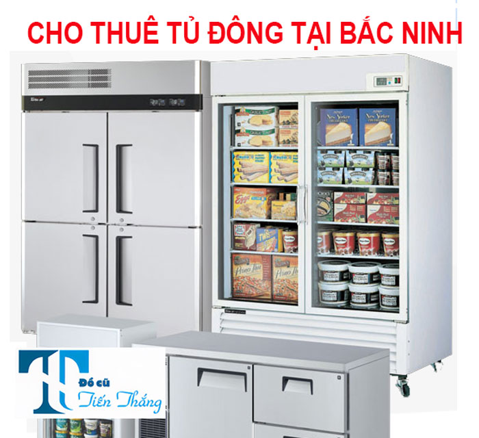 Cho Thuê Tủ Đông Tại BẮc Ninh