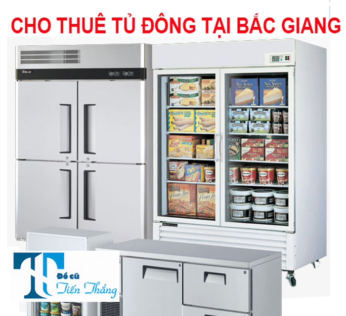 Cho Thuê Tủ Đông Tại Bắc Giang