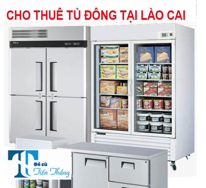 Cho Thuê Tủ Đông Tại Lào Cai
