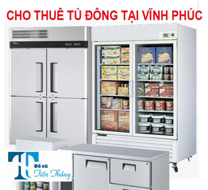 Cho Thuê Tủ Đông Tại VĨnh PhÚc
