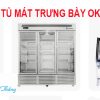 Thanh Lý Tủ Mát Trưng Bày Okinaga Cũ