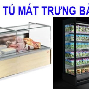 Thanh Lý Tủ Mát Trưng Bày Arneg