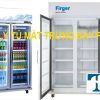 Thanh Lý Tủ Mát Trưng Bày Firger