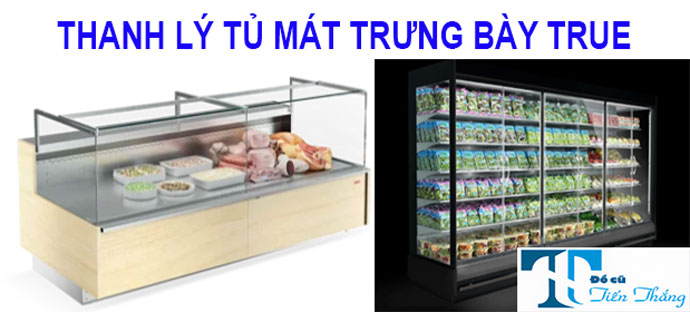 Thanh Lý Tủ Mát Trưng Bày True Thanh Lý Tủ Mát Trưng Bày True