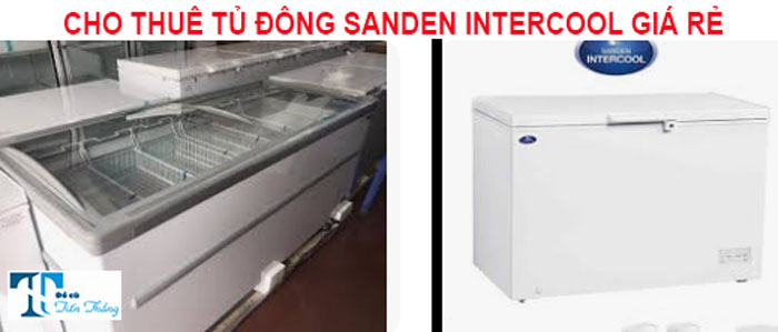 Cho Thuê Tủ Đông Sanden Intercool Giá Rẻ