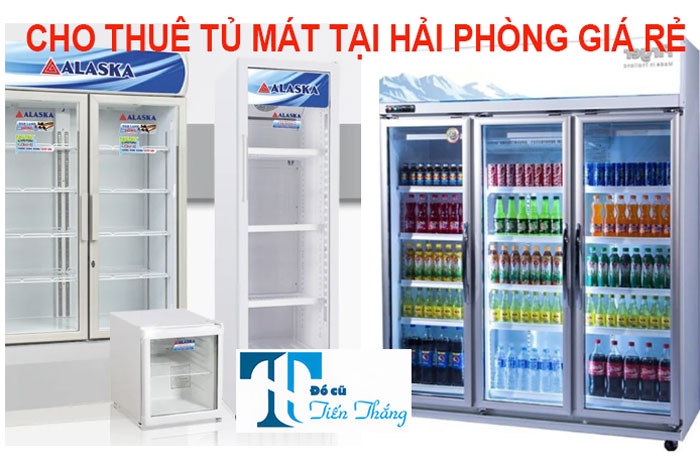 Cho Thuê Tủ Mát Tại HẢi PhÒng Giá Rẻ