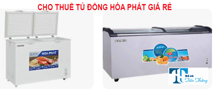 Cho Thuê Tủ Đông Hòa Phát Giá Rẻ